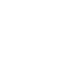 Car Icon