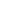 House Icon